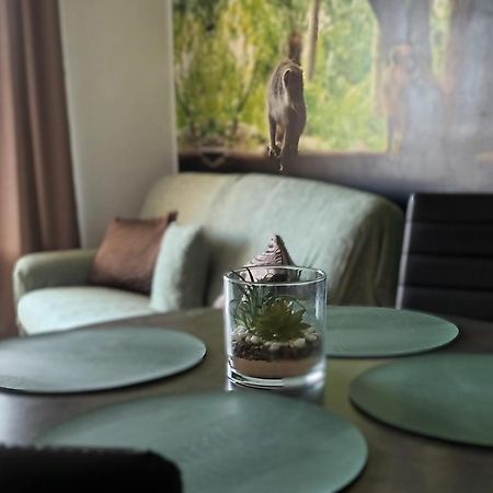 Appartement Escapade Nature 阿讷西 外观 照片