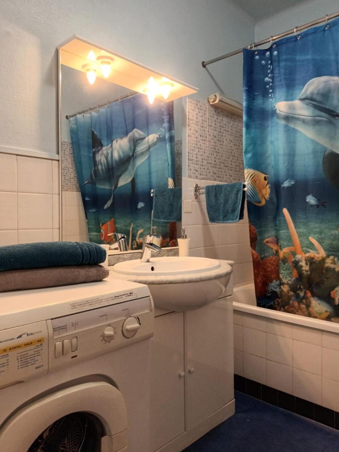 Appartement Escapade Nature 阿讷西 外观 照片