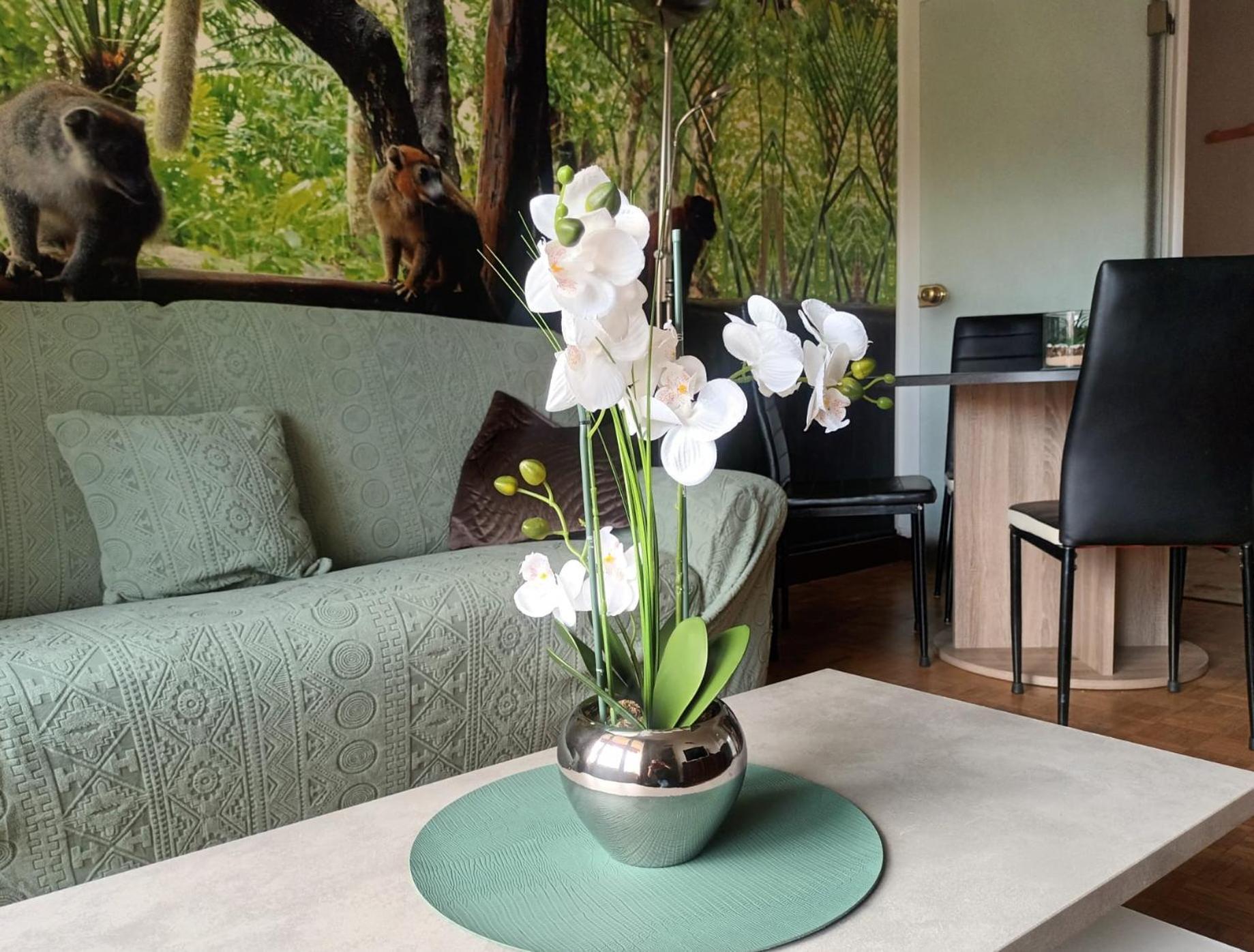 Appartement Escapade Nature 阿讷西 外观 照片
