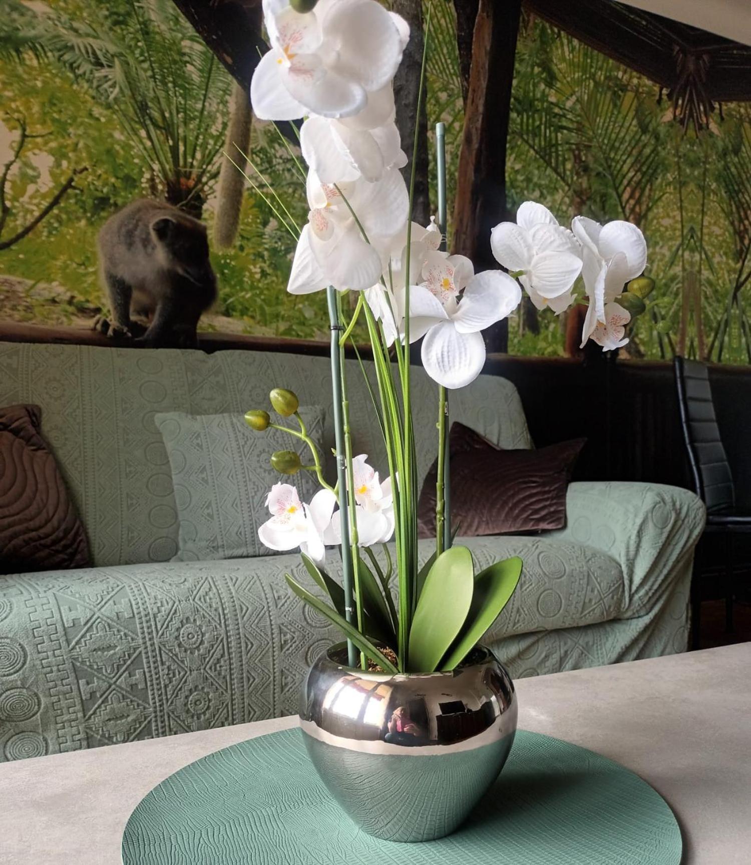 Appartement Escapade Nature 阿讷西 外观 照片