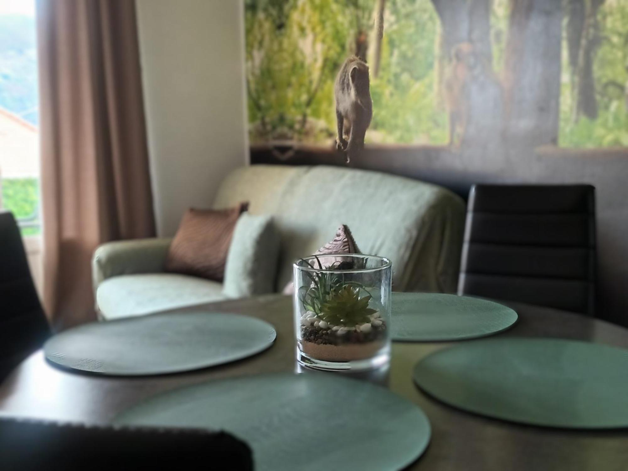 Appartement Escapade Nature 阿讷西 外观 照片