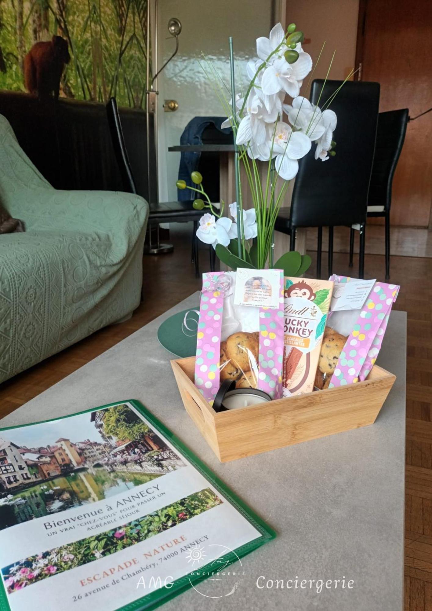 Appartement Escapade Nature 阿讷西 外观 照片