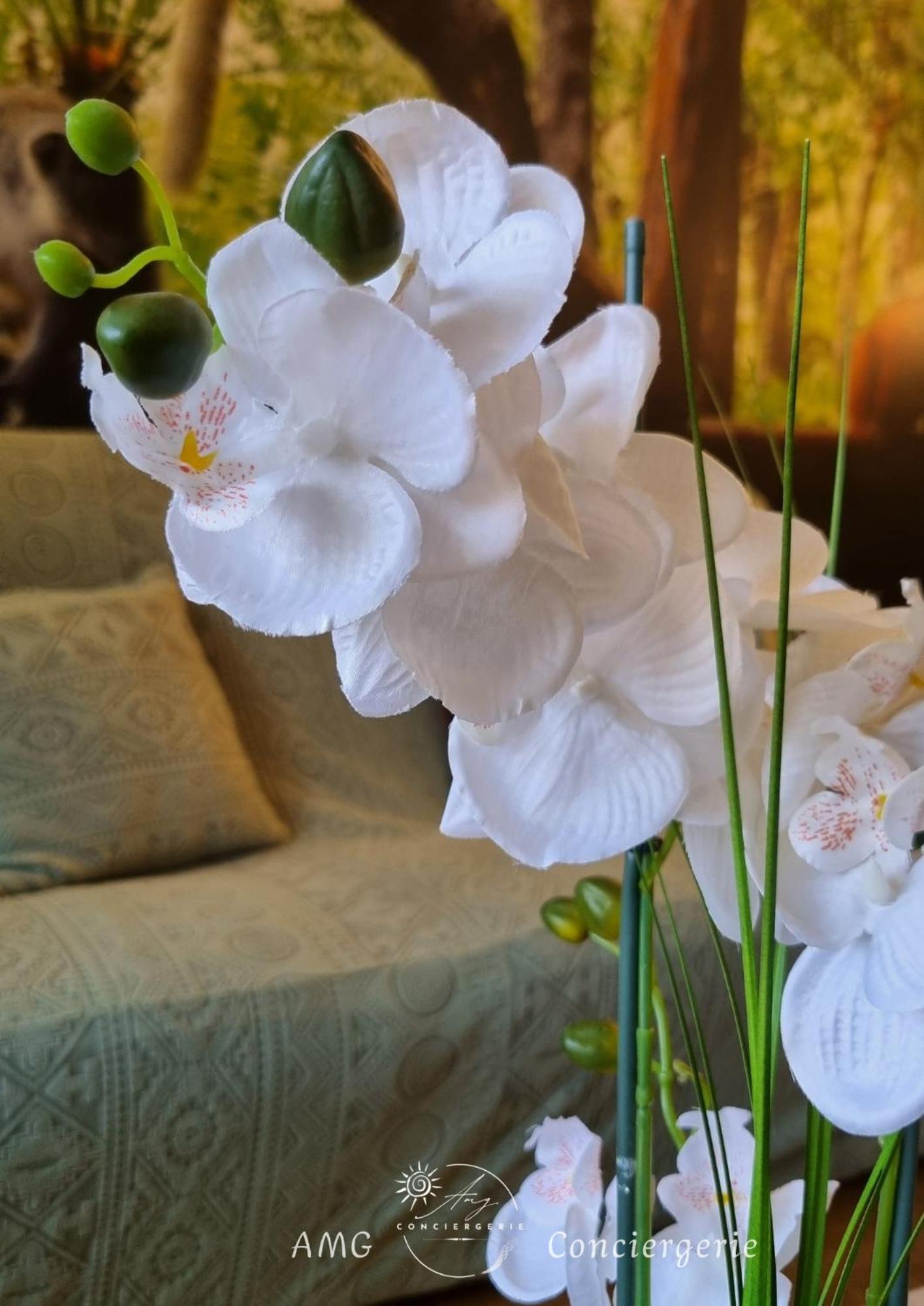 Appartement Escapade Nature 阿讷西 外观 照片